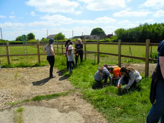 A group of young people kneel down in a field whilst another group of young people stand and talk to an adult with a metal detector.