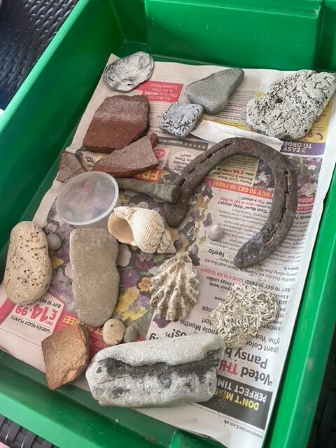 A tray of archaeological objects including shells, bones, stones and a horseshoe.