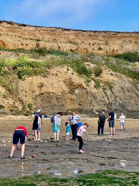 A group of children and adults on a beach at low-tide. Some are looking down at the wet sand whereas others are pointing up at high sandstone cliffs behind them.