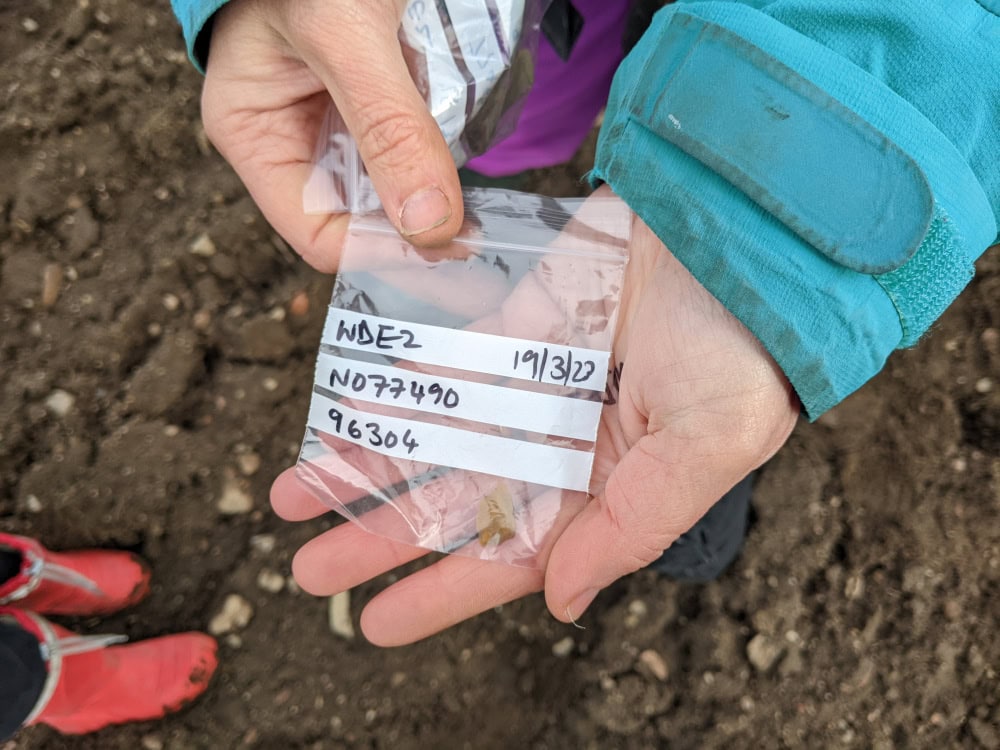 A close-up of a small see-through plastic bag containing a small flake of flint, being held in the hand of a young person.