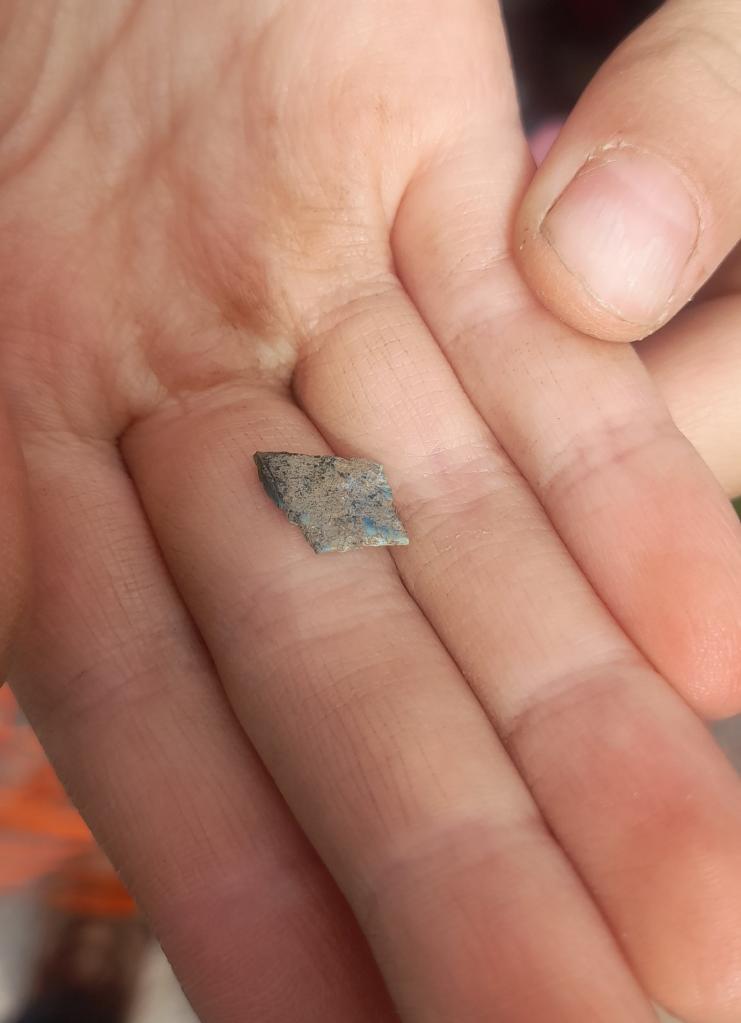 A small piece of excavated pottery/shell shown in somebody's hand.
