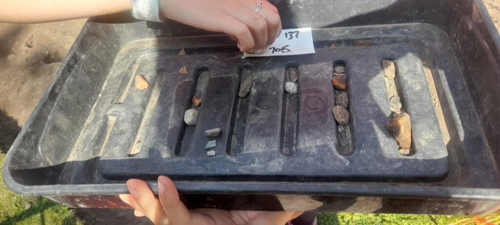 Several pieces of excavated rock and pottery sit in a black tray.