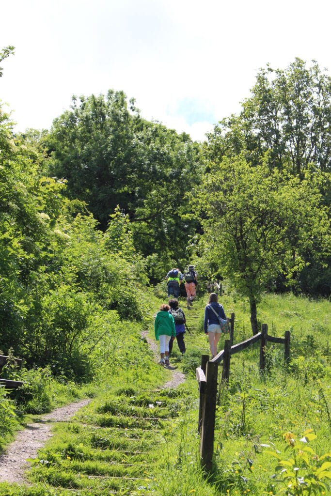 A group of adults and children walking along a footpath in a forested area.