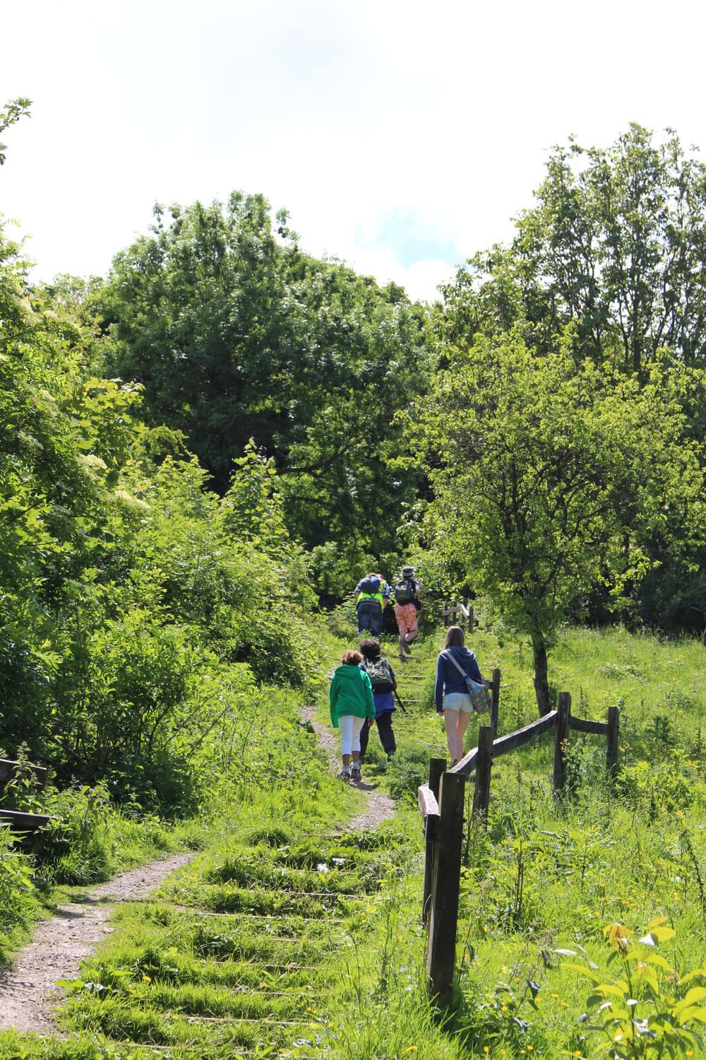 A group of adults and children walking along a footpath in a forested area.