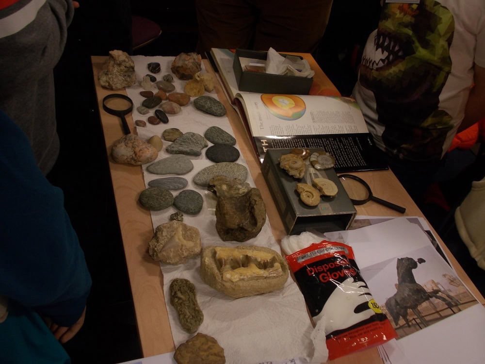 A table covered with pieces of pottery, fossils and information sheets.