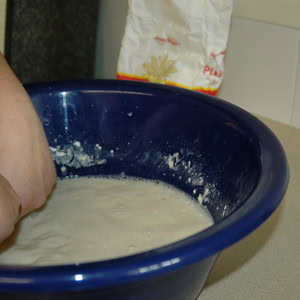 A blue bowl containing the petrosphere mixture.