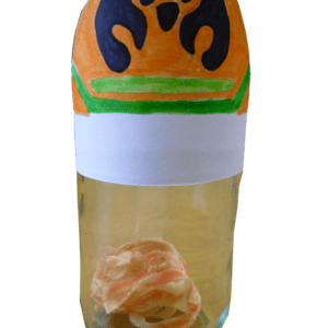 Qebehsenuef, the falcon headed Egyptian god canopic jar