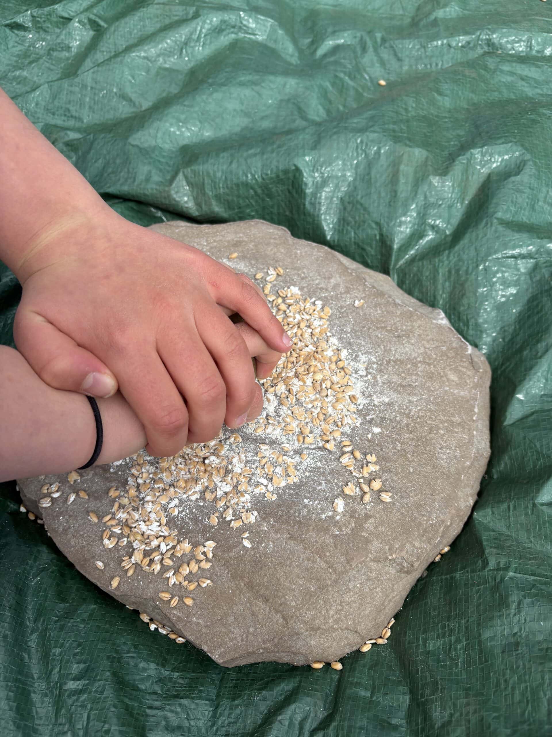 Two hands grinding grains with a small stone to make flour onto a large stone